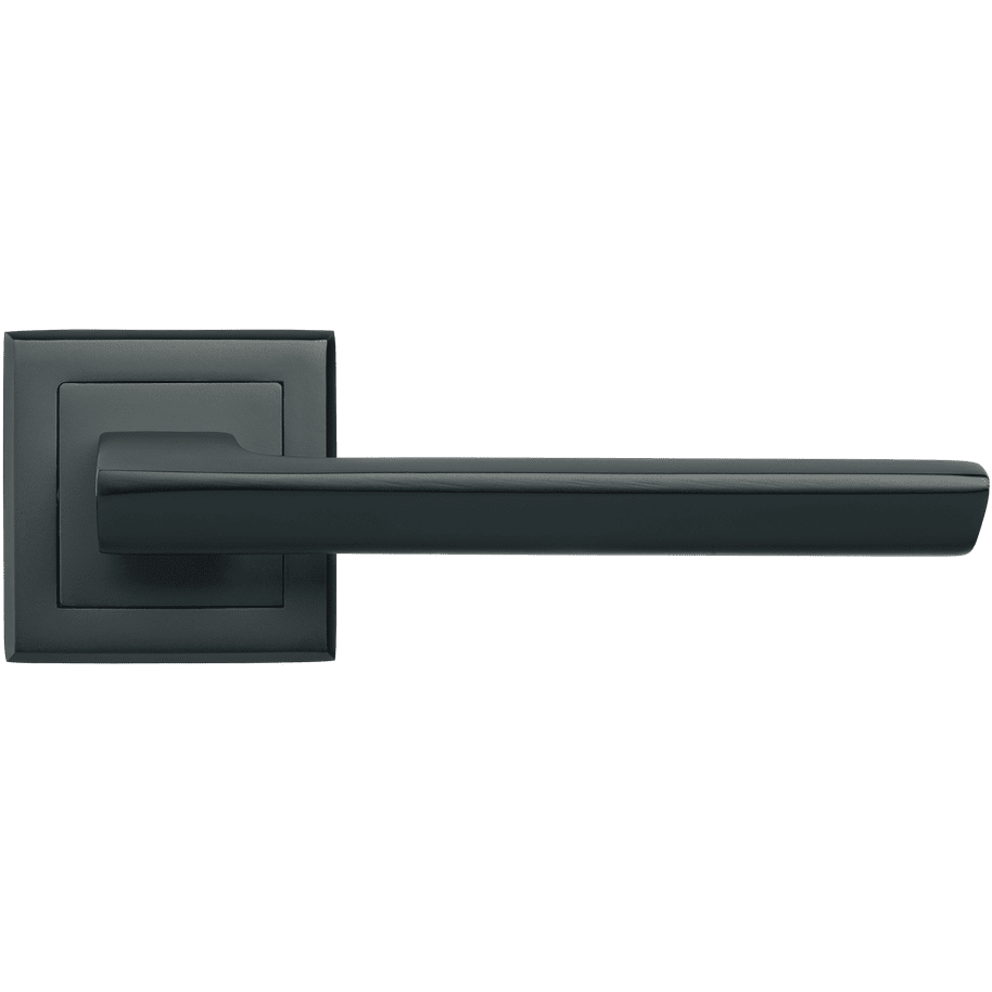 Durvju rokturis RAP-21 BL