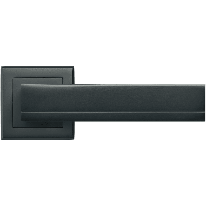 Durvju rokturis RAP-22 BL